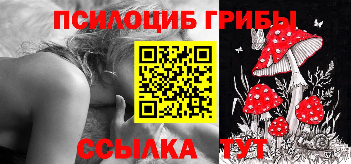 Псилоцибиновые грибы GOLDEN TEACHER  Вход с VPN  хочу   Псилоцибиновые грибы прущие грибы  Саратов 