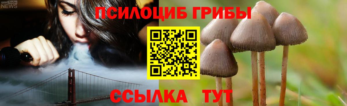 Псилоцибиновые грибы мухоморы Саратов